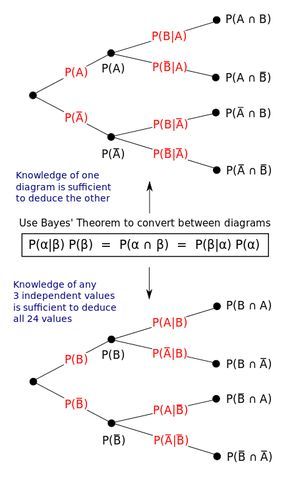 Probability Tree Diagram Worksheet Igcse