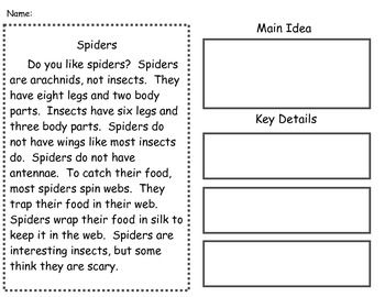 Main Idea Reading Comprehension Worksheets 3rd Grade