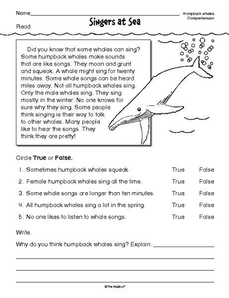 Multiple Choice Reading Comprehension Worksheets 4th Grade