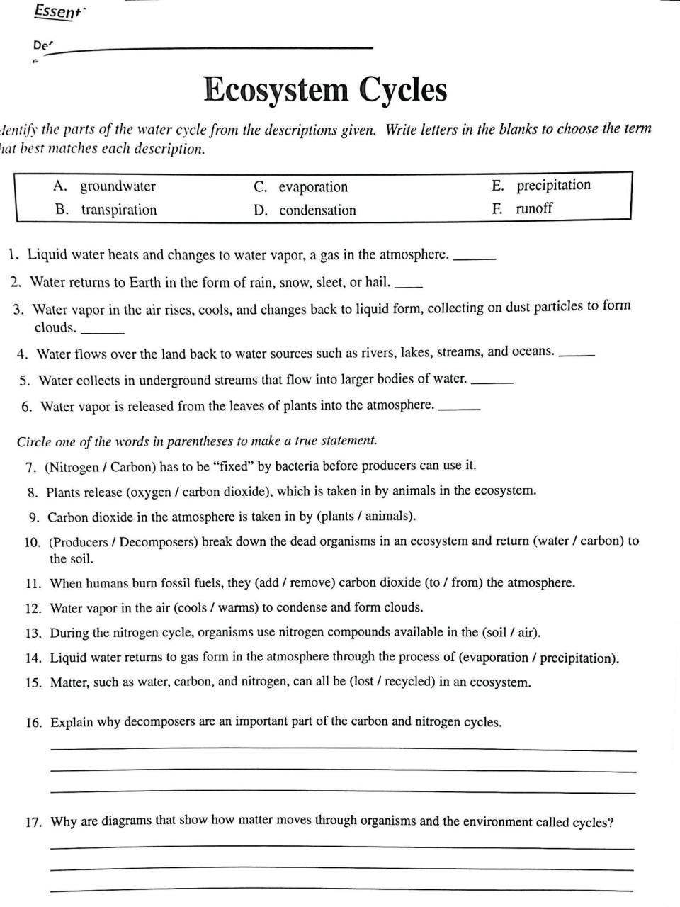 Carbon And Nitrogen Cycle Worksheet Answer Key