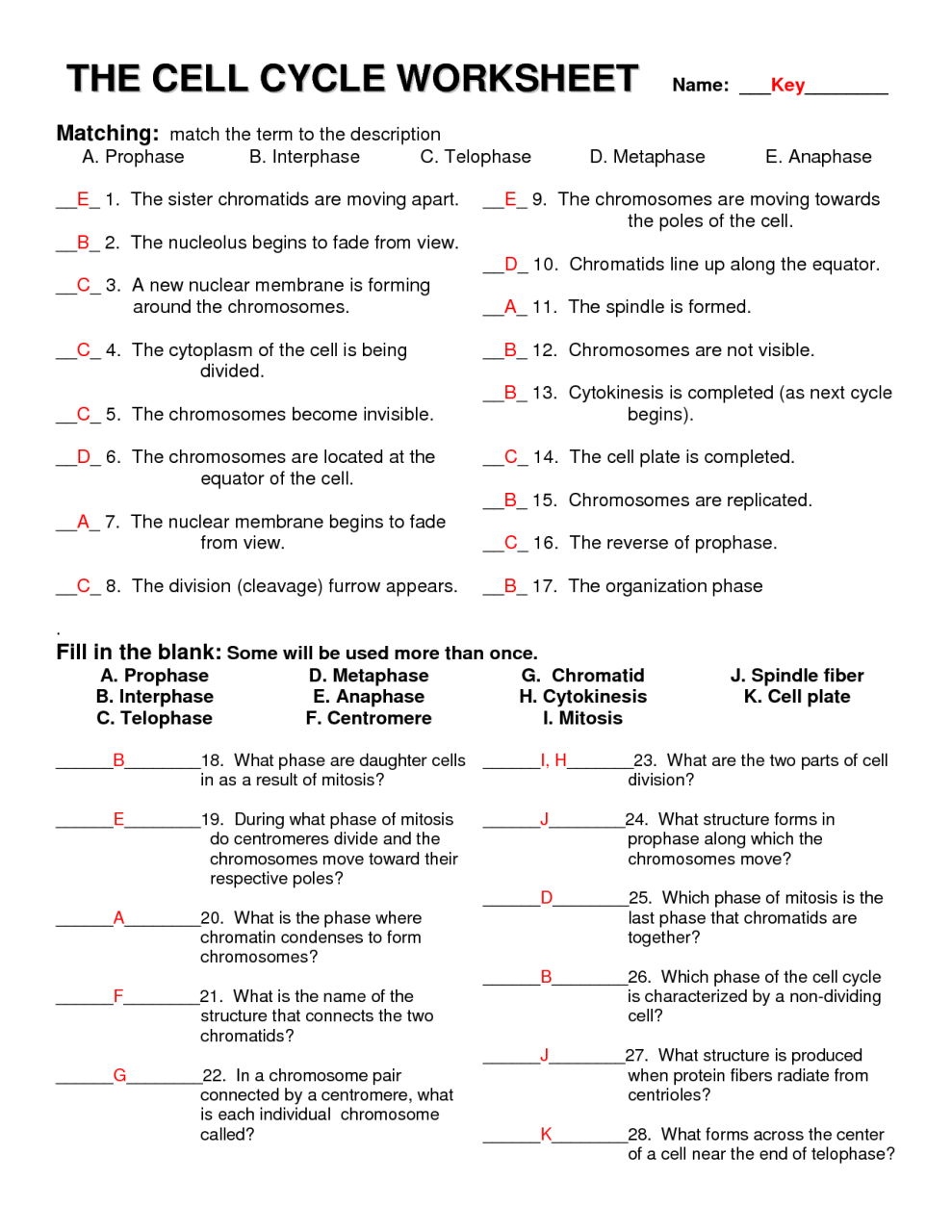 12 Best Images of Life Science Worksheet Answer Cell Cycle Worksheet