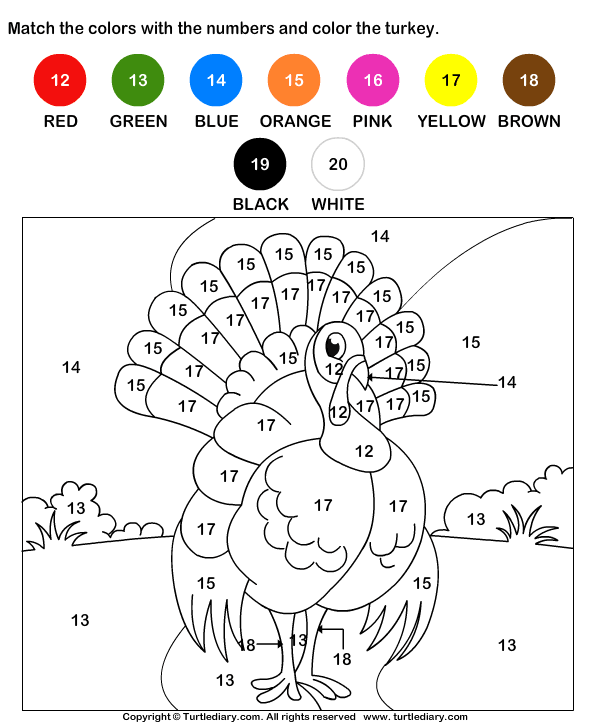 Color by Number Worksheet Turtle Diary