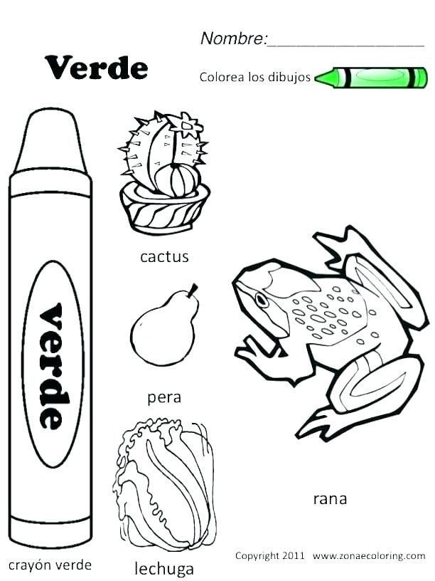 The Mole Coloring Worksheet Answer Key