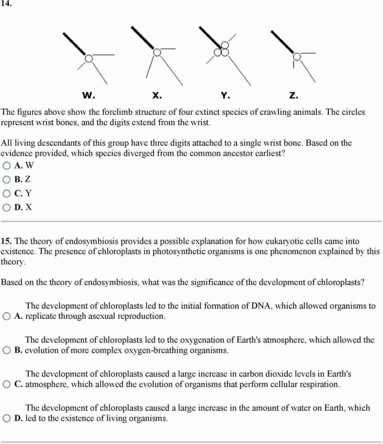 Dna Replication Coloring Worksheet Answer Key
