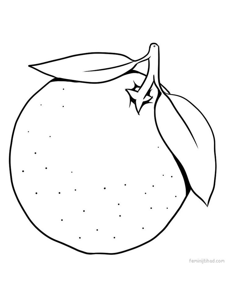 new orange page printables. Orange is one of the most popular fruits in