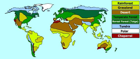 Biome Map Coloring Worksheet Ask A Biologist Answer Key