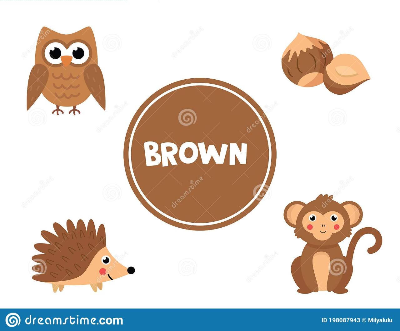 Color Brown Worksheet For Toddlers