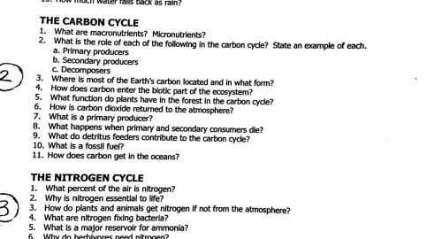 Water Carbon And Nitrogen Cycle Worksheet Answers