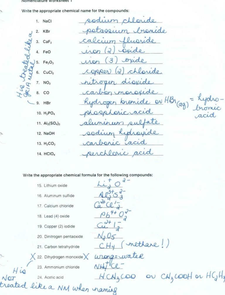 Water Carbon And Nitrogen Cycle Worksheet/Color Sheet