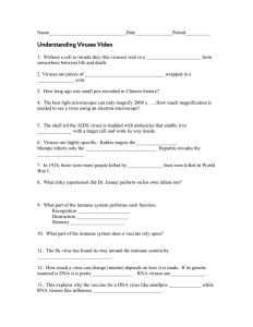 32 Understanding Viruses Worksheet Answers Worksheet Source 2021