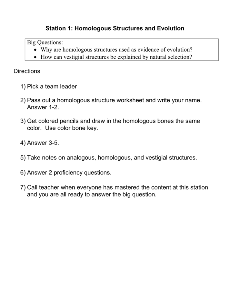 Homologous Structures Worksheet Answer Key