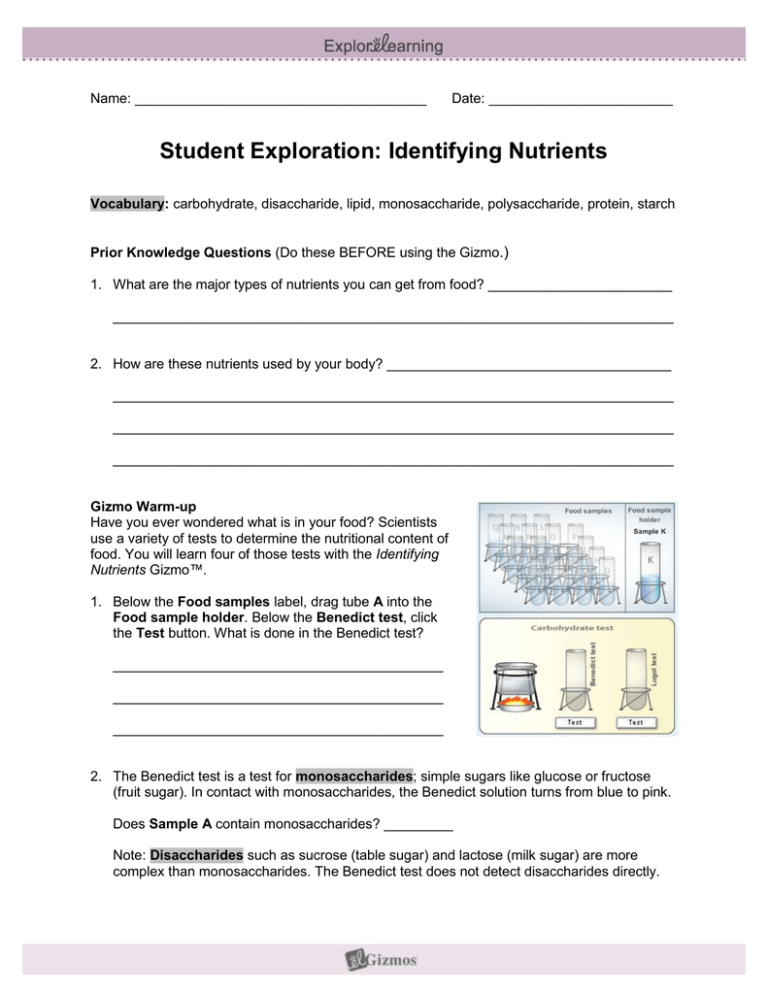 Identifying Primary And Secondary Sources Worksheet Answer Key