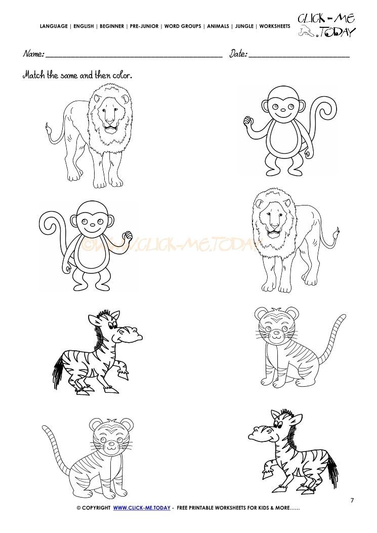 Jungle Animals Worksheets For Preschoolers