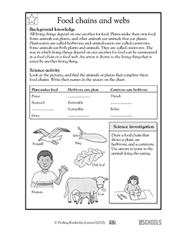 Free 3rd Grade Science Worksheets