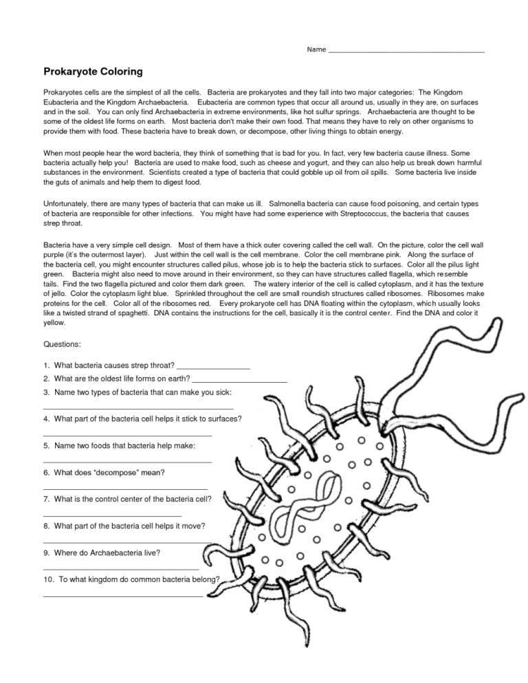 The Six Kingdoms Of Life Review Sheet Answer Key