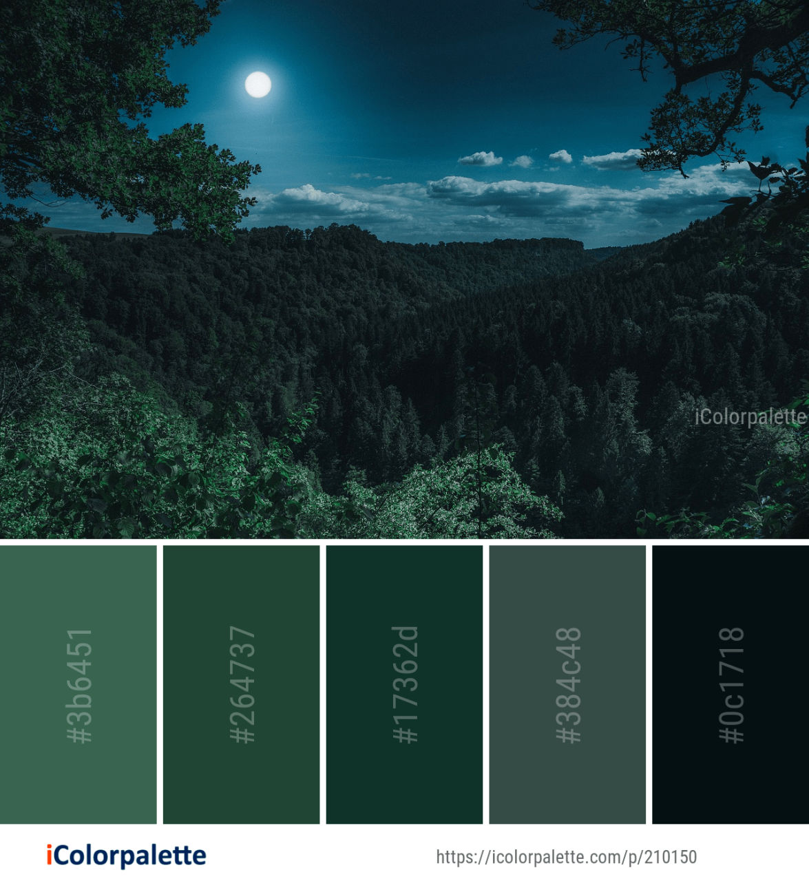 Color Palette ideas from 3368 Nature Images iColorpalette Hex color