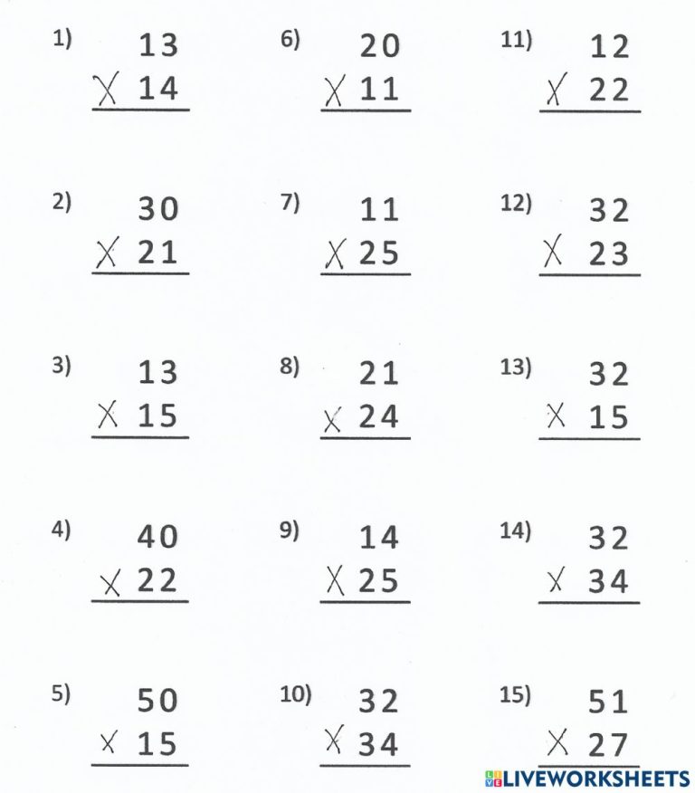 Multiplying With 2 Digits Worksheets