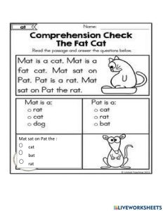 Reading comprehension online exercise for 2ND GRADE