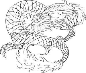 Realistic Dragon Coloring Pages For Adults Free Printable Chinese
