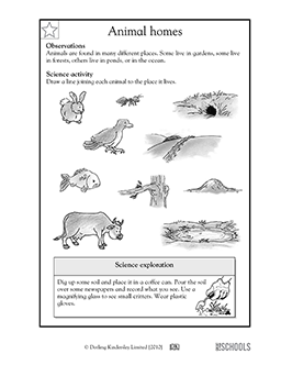 Science Worksheets For Grade 3 Animals