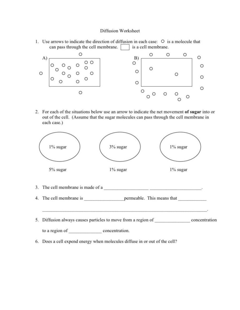 Student Worksheet Diffusion And Osmosis Worksheet Answer Key