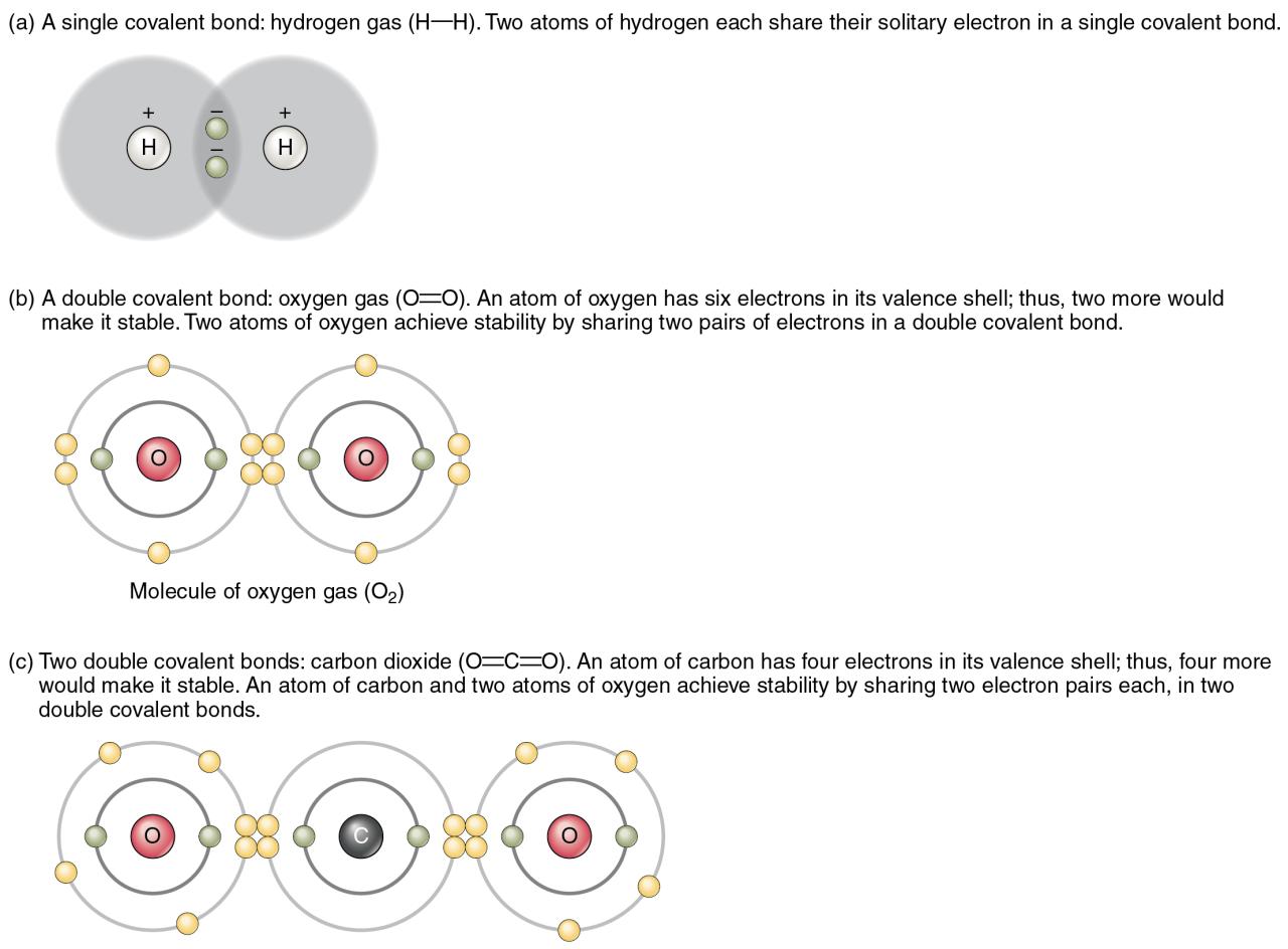 The top panel in this figure shows two hydrogen atoms sharing two
