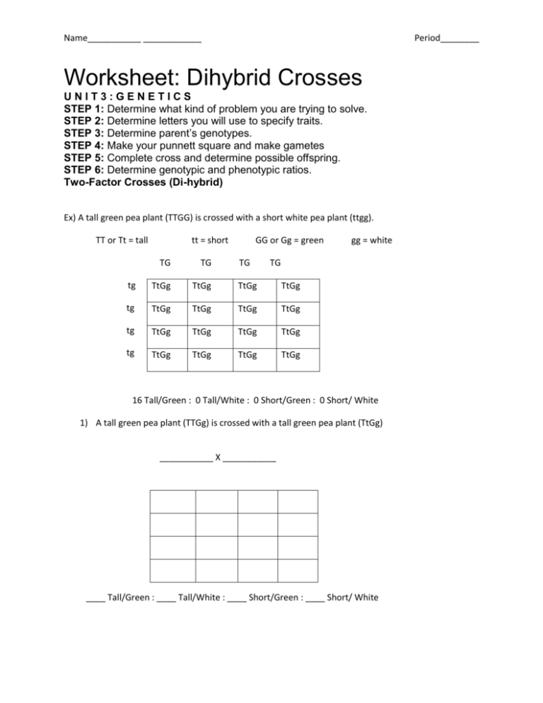 Dihybrid Cross Guinea Pig Worksheet Answer Key