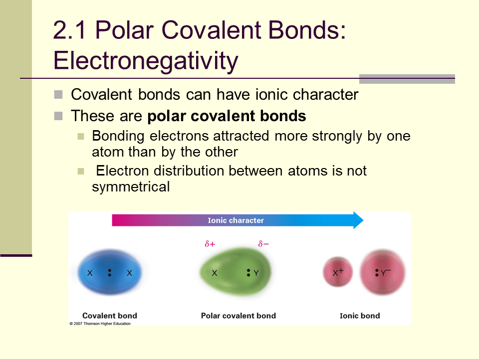 Polar Covalent Bonds Acids and Bases Presentation Chemistry