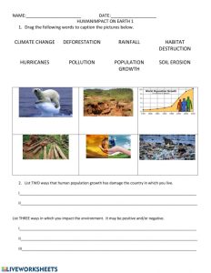 Human Impact On Environment Interactive worksheet