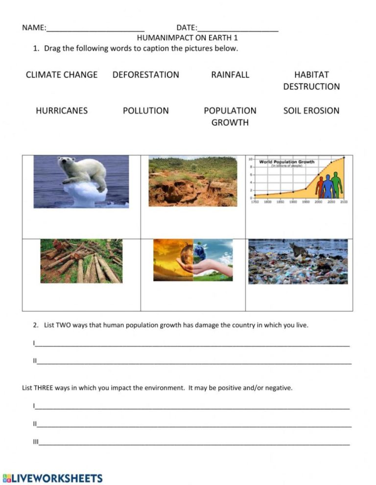 Human Impact On The Environment Worksheet Answer Key
