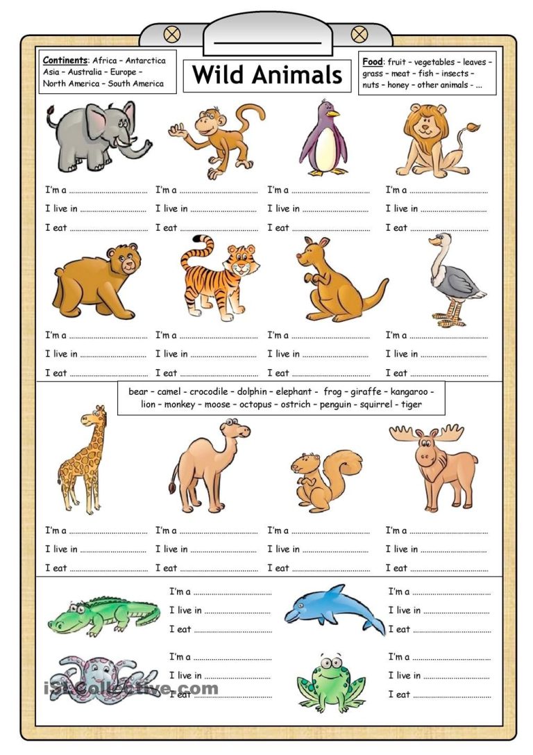 Wild Animals Worksheets For Kindergarten Pdf