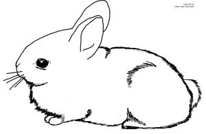Baby bunnies coloring pages download and print for free