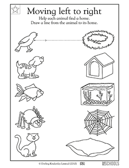 Kindergarten Pet Animals Worksheets For Preschoolers