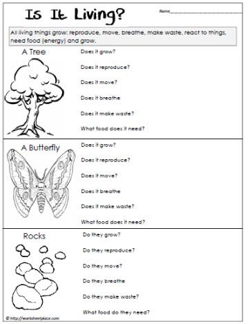 Science Worksheets For Grade 2 Living And Nonliving Things