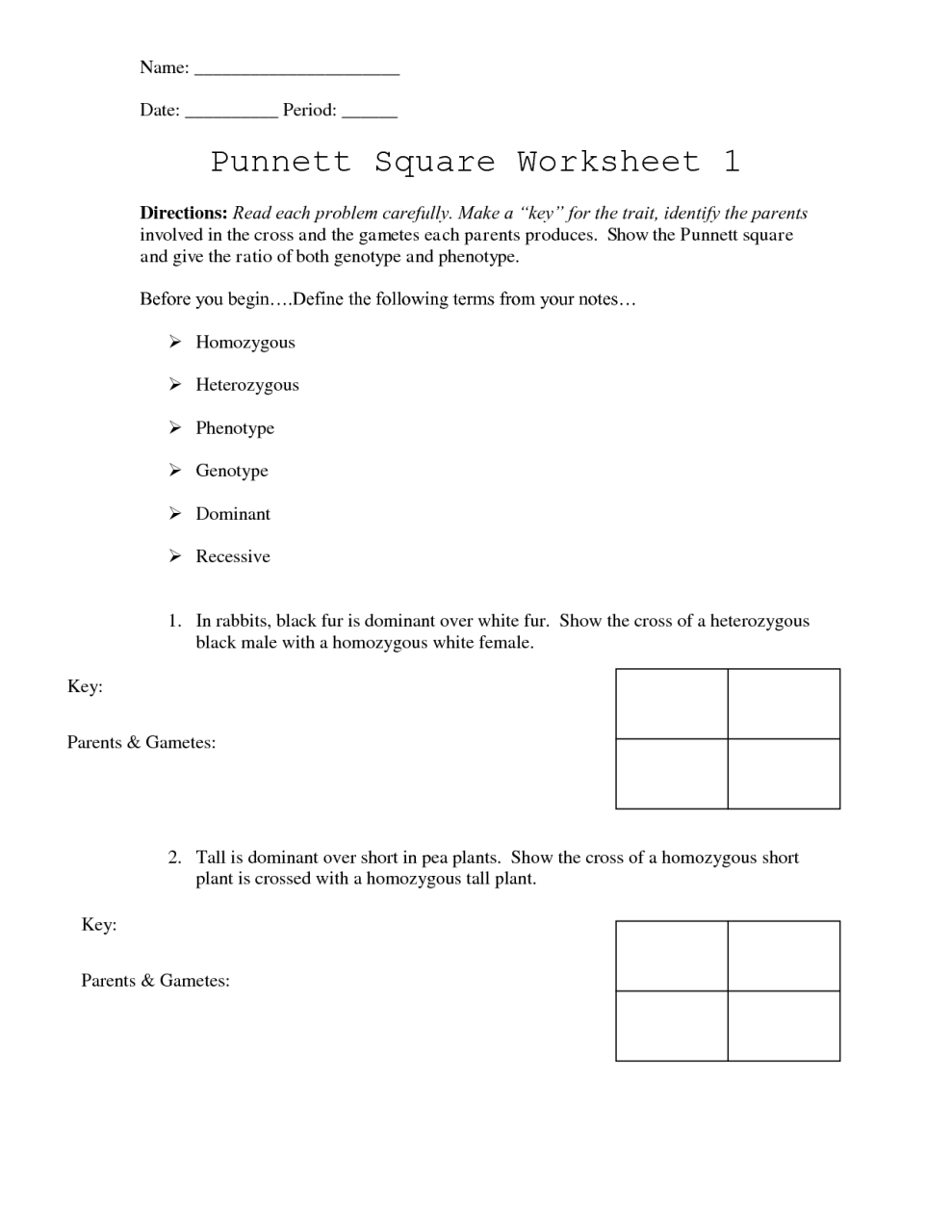 Punnett Square Worksheet 2 Answer Key