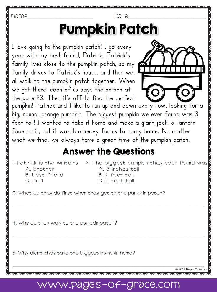 Second Grade Reading Comprehension Story