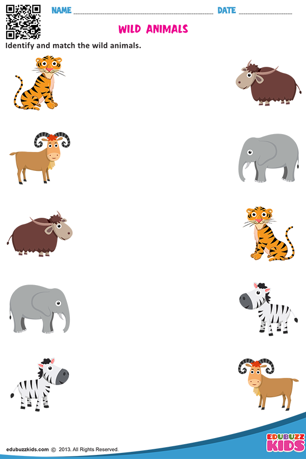 Matching Wild Animals Worksheets For Kindergarten