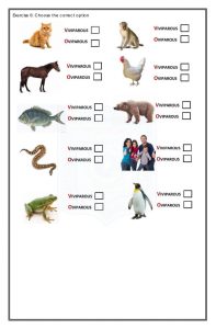Pop quiz animal and plant life cyclesecond term science worksheet