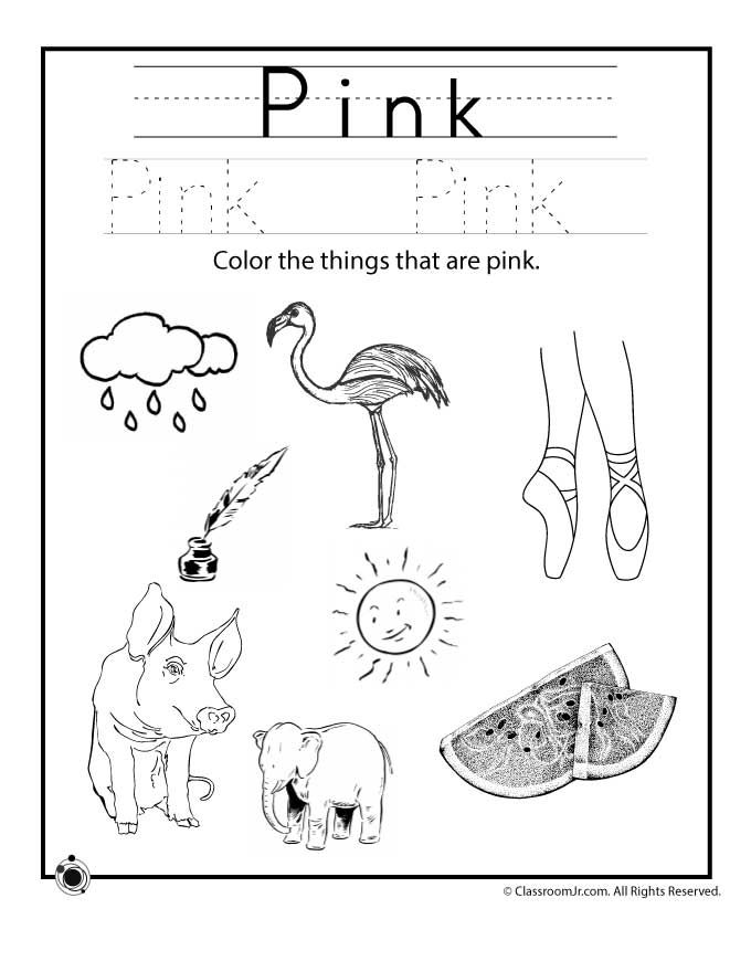 Animal And Plant Cell Coloring Worksheet Answers Key