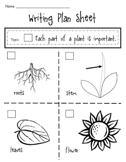 First Grade Science Worksheets For Grade 1 Plants