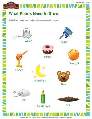 First Grade Science Worksheets For Grade 1