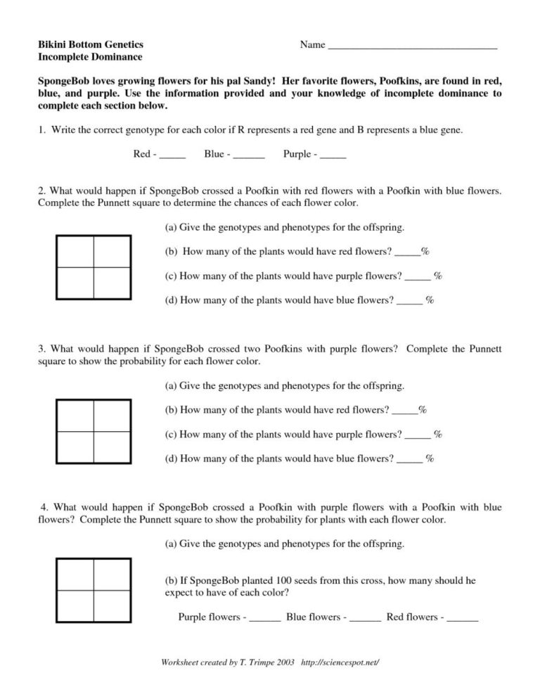 Codominant Incomplete Dominance Practice Worksheet Answer Key