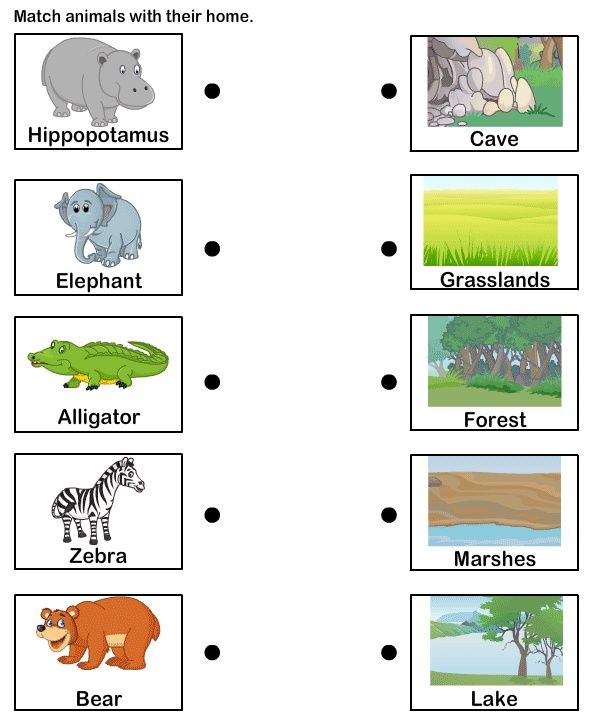 Animals And Their Habitats Worksheet
