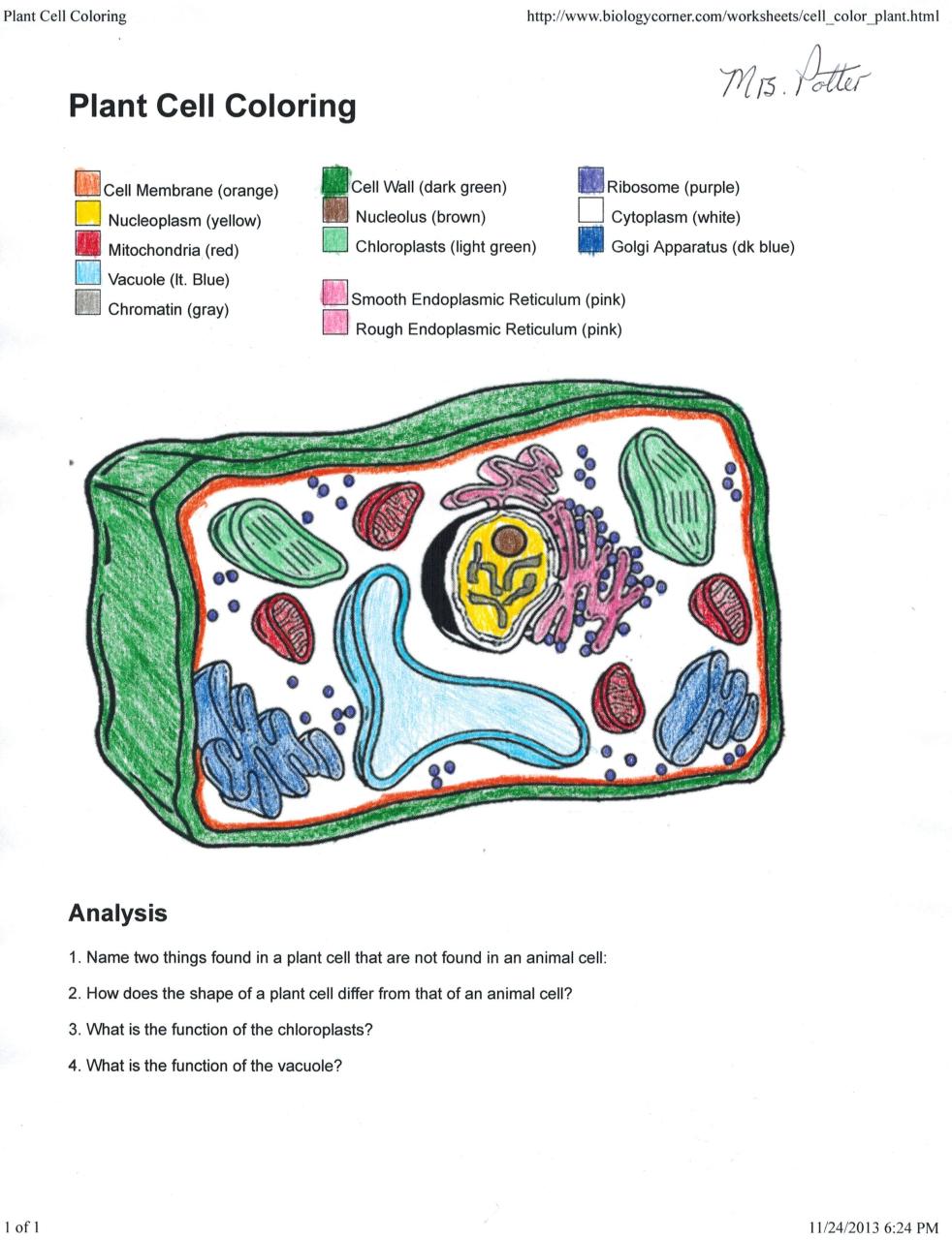Animal Cell Coloring Answer Key Animal Cell