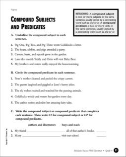 Types Of Sentences Worksheets 1st Grade