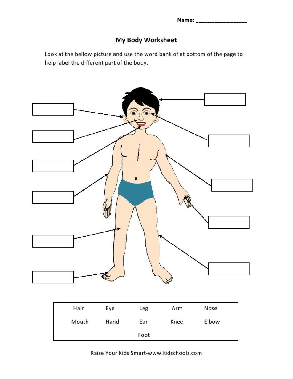 Science Worksheets For Grade 1 Body Parts