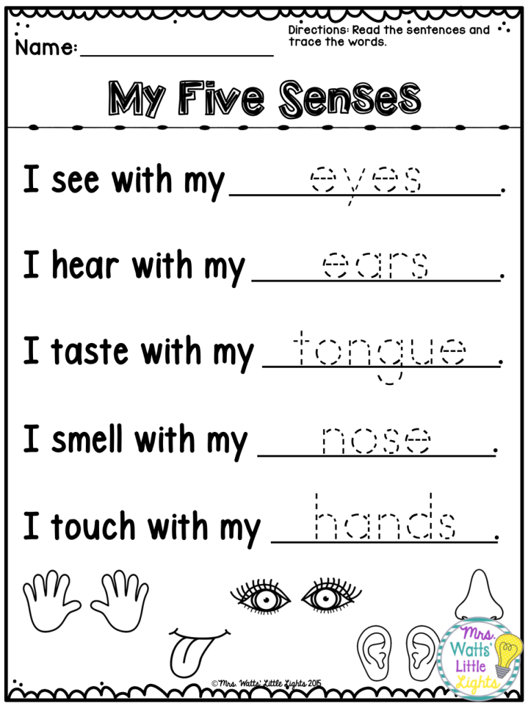 Five Senses Science Worksheets For Kindergarten