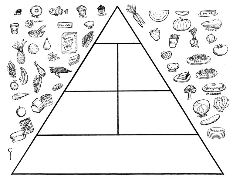 Food Pyramid Worksheets For Kids