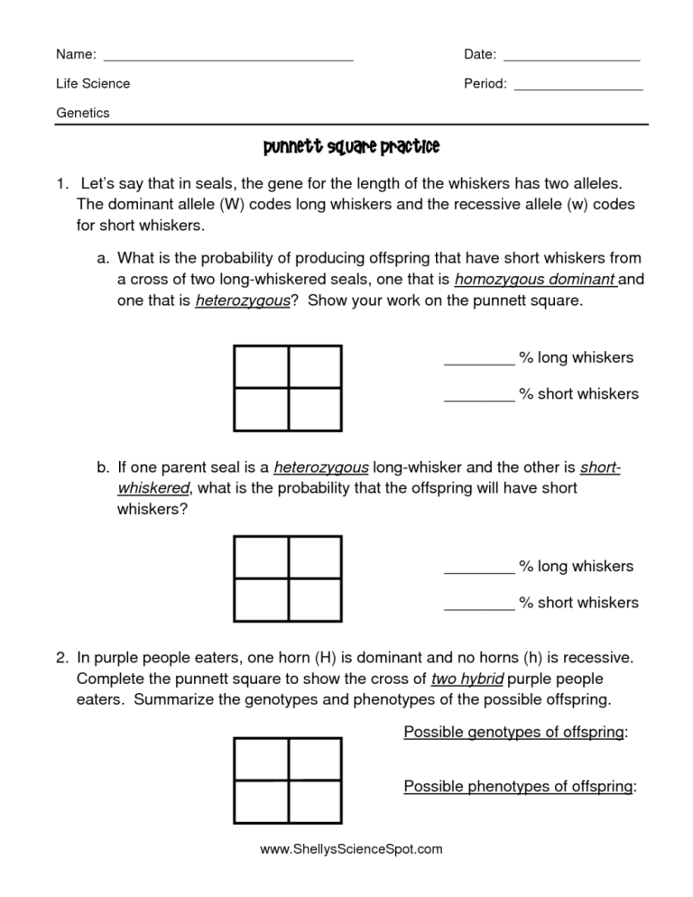 Punnett Square Practice Worksheet Answer Key