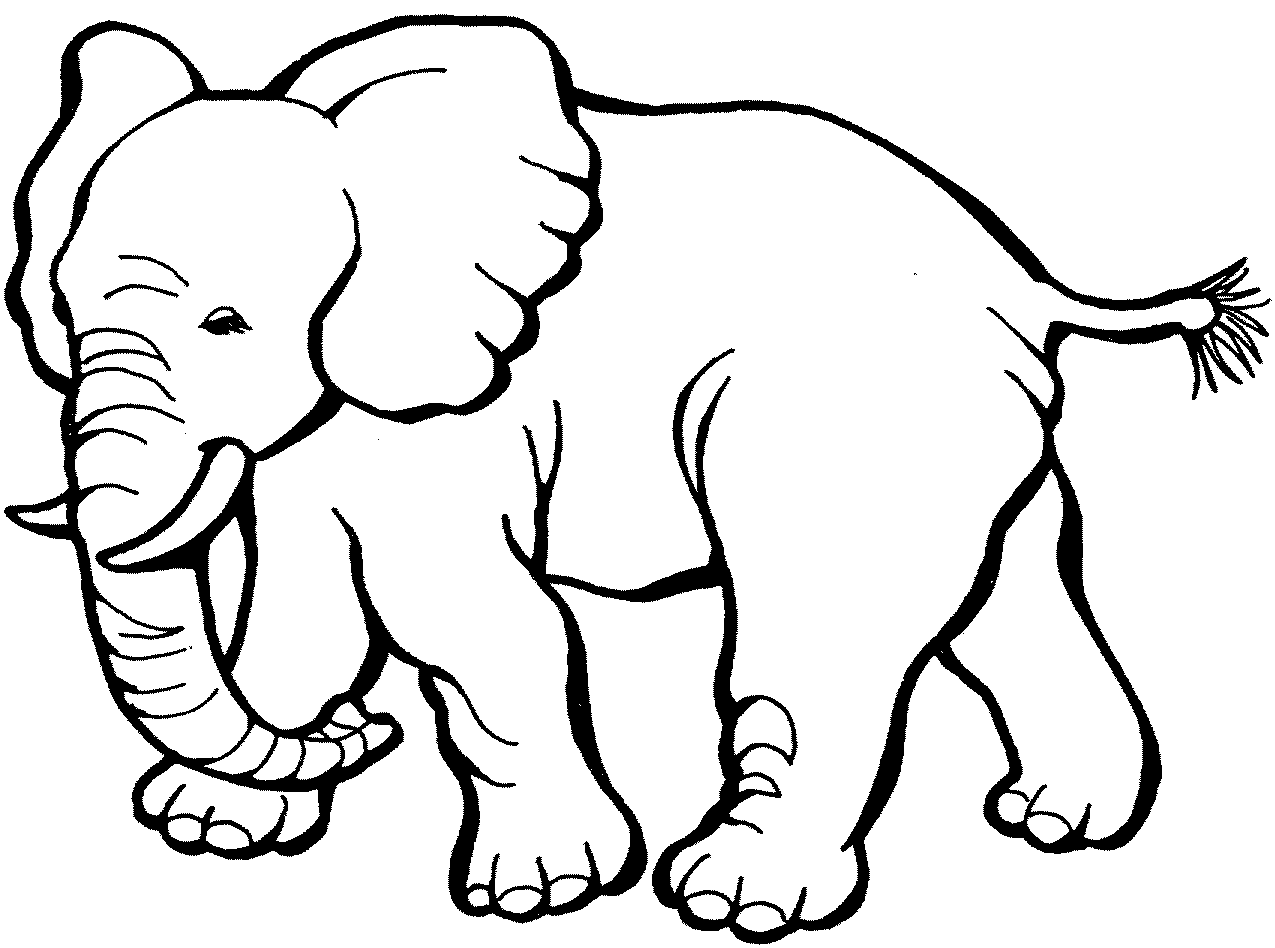 Elephant Coloring Pages Printable Free